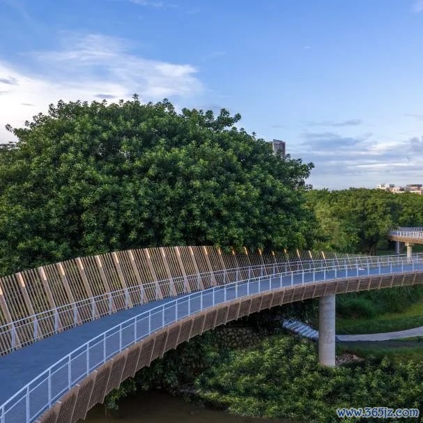 ▲深圳龙岗河干流碧说念样貌 实景图