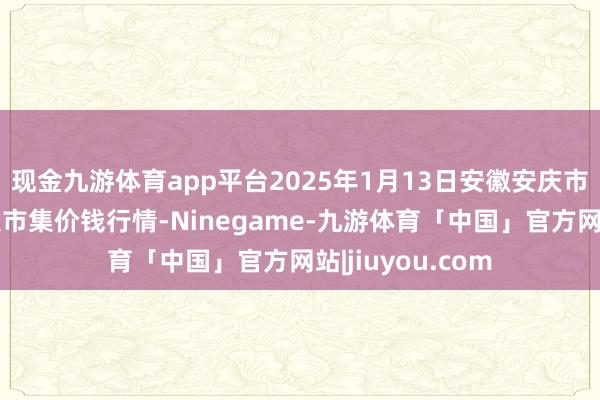 现金九游体育app平台2025年1月13日安徽安庆市龙狮桥蔬菜批发市集价钱行情-Ninegame-九游体育「中国」官方网站|jiuyou.com